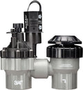 Rain Bird DASASVF075 Professional Anti-Siphon Valve, 3/4"