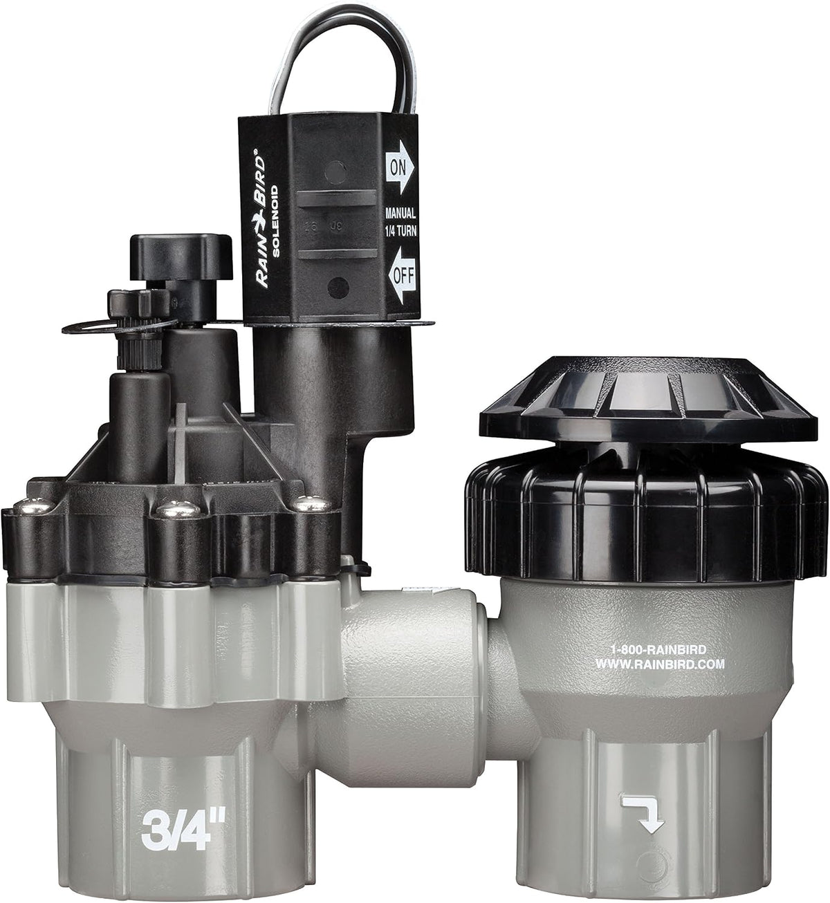 Rain Bird DASASVF075 Professional Anti-Siphon Valve, 3/4"