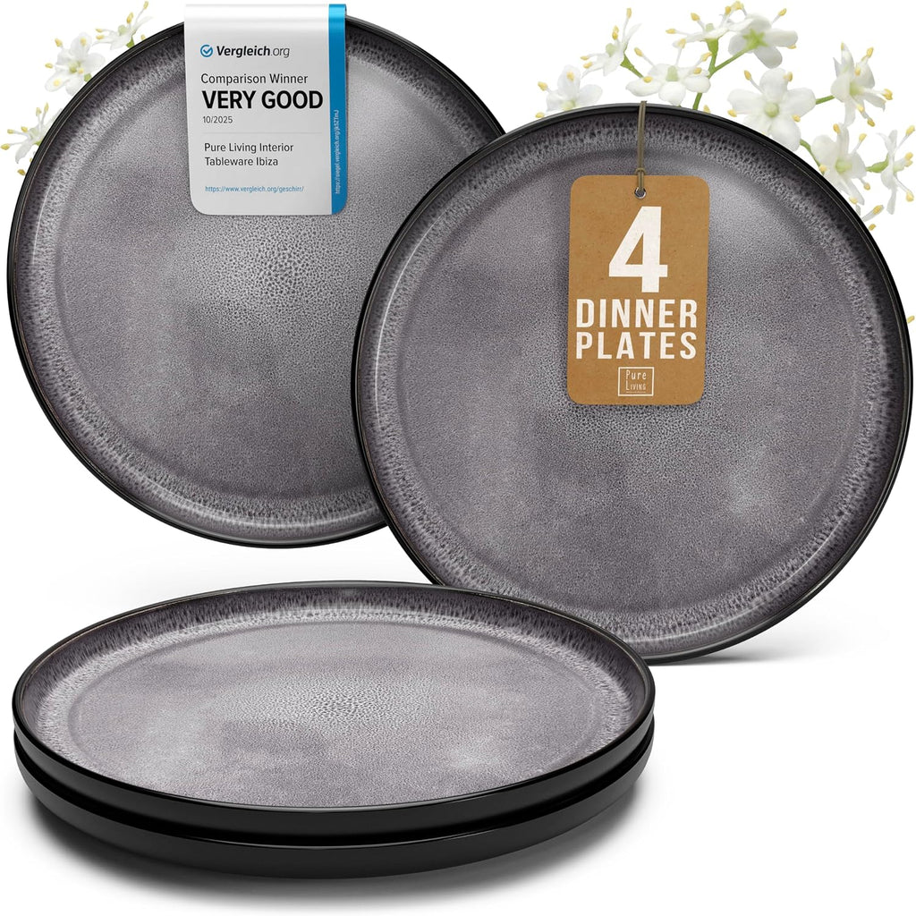 Stoneware Dinner Plate Set for 4, 10.6" Large Kitchen Plates, Raised Rim