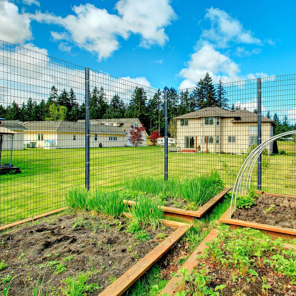 3ft x 50ft Black Vinyl Coated Welded Wire Fence
