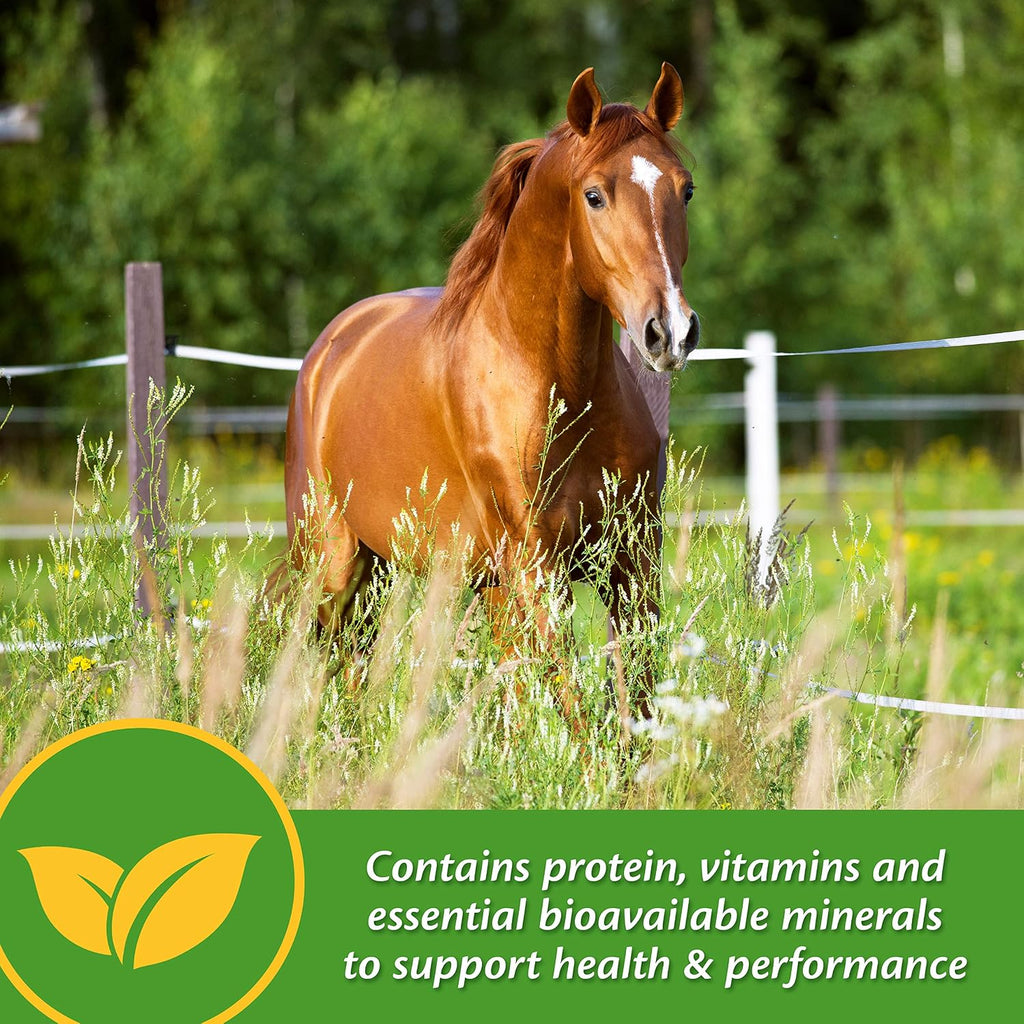 Vita Plus Balanced Multi-Vitamin & Mineral Horse Supplement, Vitamin Supplements, Provides Balanced Nutrition to