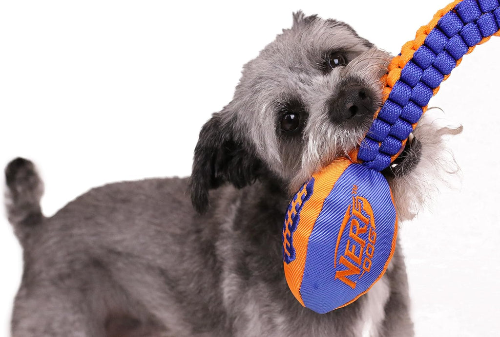 Vortex Chain Tug Dog Toy with Squeaker Football Head, Lightweight, Durable, Water Resistant, 30 Inches, For Medium to