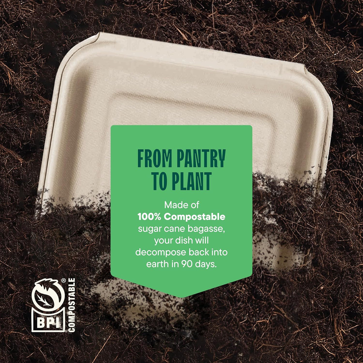 100% Compostable Clamshell Take Out Containers - 8x8 [100-Pack] Heavy Duty