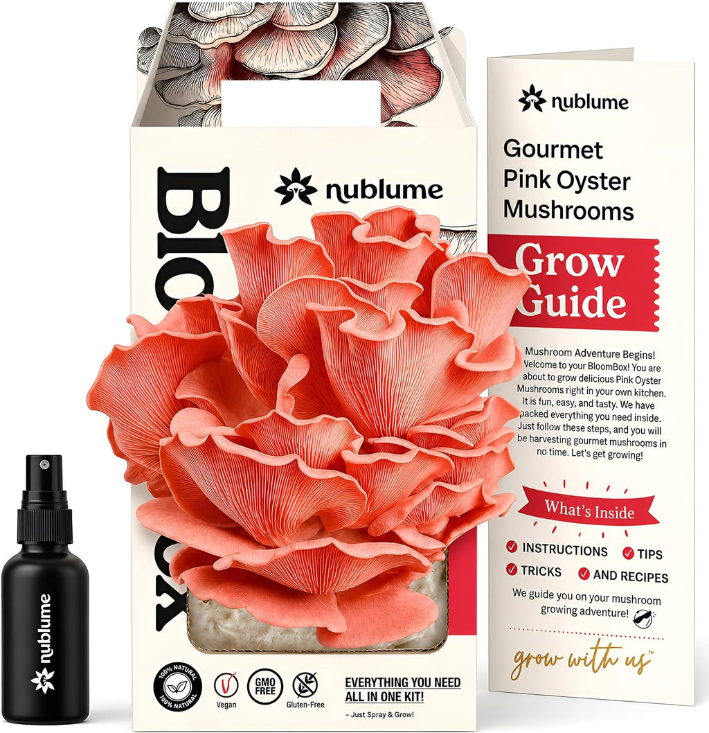 BloomBox Pink Oyster Mushroom Grow Kit – Spray & Grow – Pre-Inoculated Indoor Mushroom Farm – Beginner Friendly –
