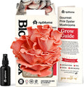 BloomBox Pink Oyster Mushroom Grow Kit – Spray & Grow – Pre-Inoculated Indoor Mushroom Farm – Beginner Friendly –