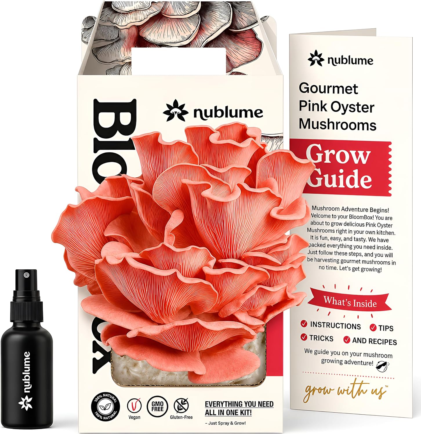 BloomBox Pink Oyster Mushroom Grow Kit – Spray & Grow – Pre-Inoculated Indoor Mushroom Farm – Beginner Friendly –