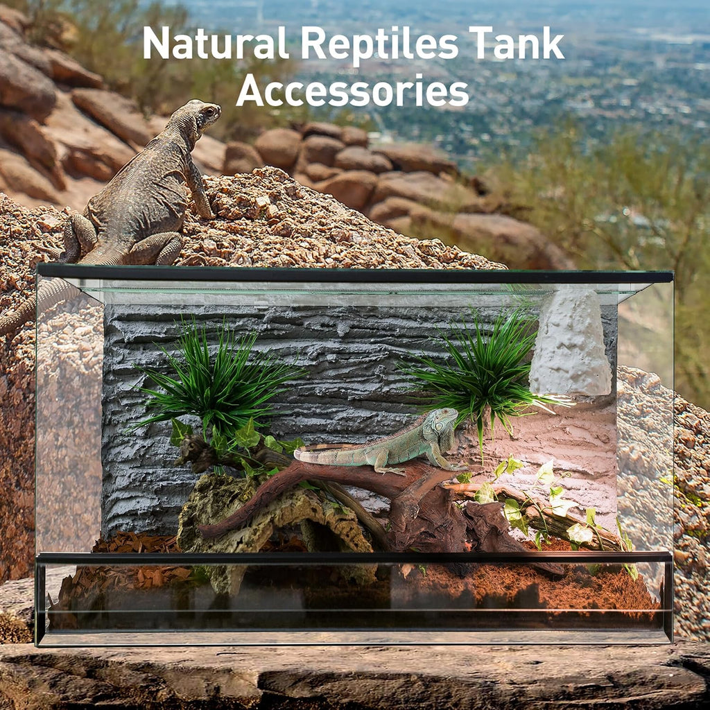 3 PCS Natural Driftwood for Aquarium Decor Fish Tank Decorations