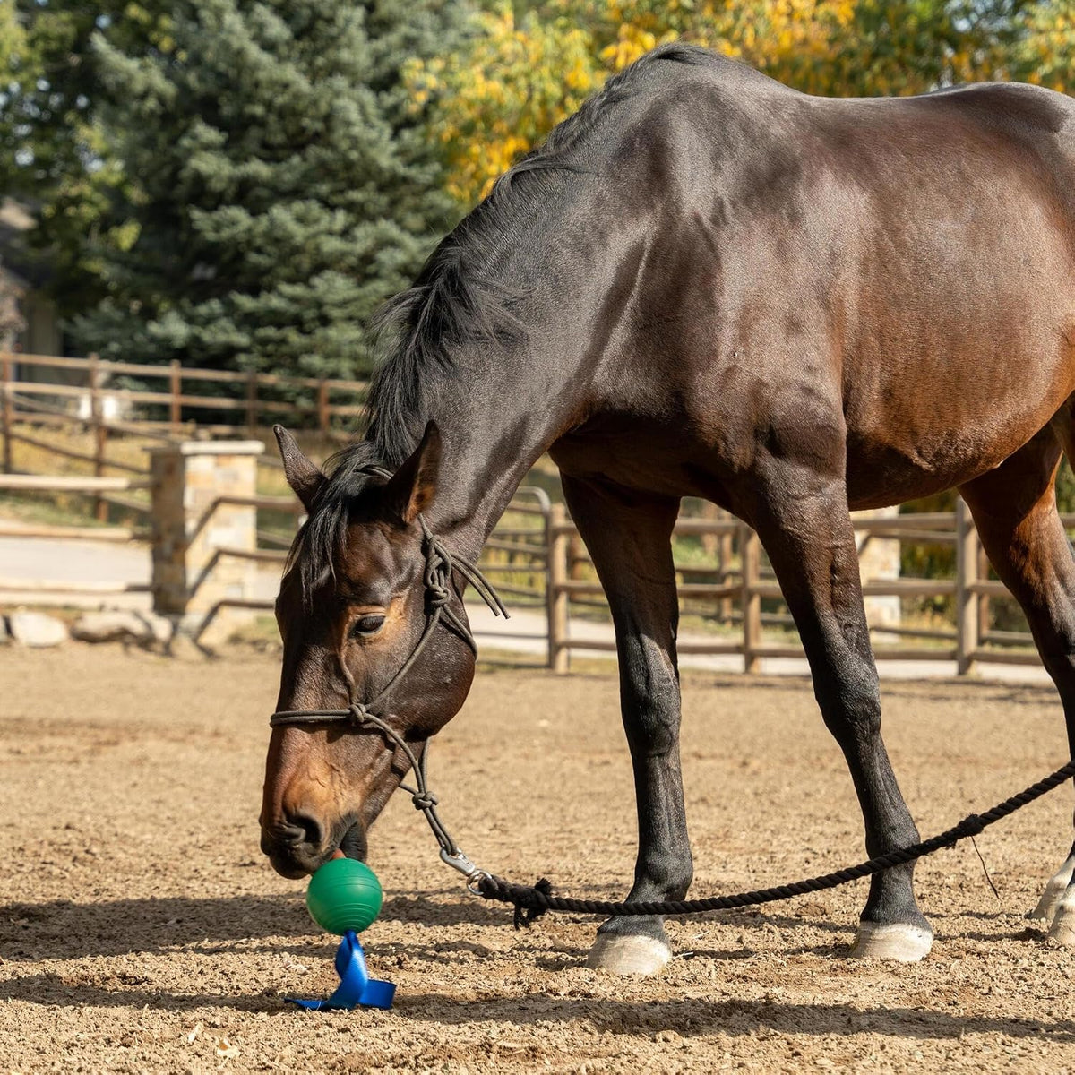 KoreFlex Ball & Tail - Horse-Equine Toy, 4.75" Green Ball, Shape Maintaining Rubber, Durable Strap, Treat Stuffing