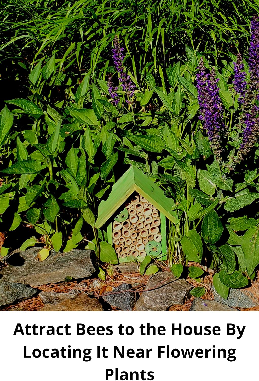 Mason Bee Houses and Supplies : Bamboo Tube Bee Hotel for Solitary Bees - Attract More Gentle Pollinating Bees to