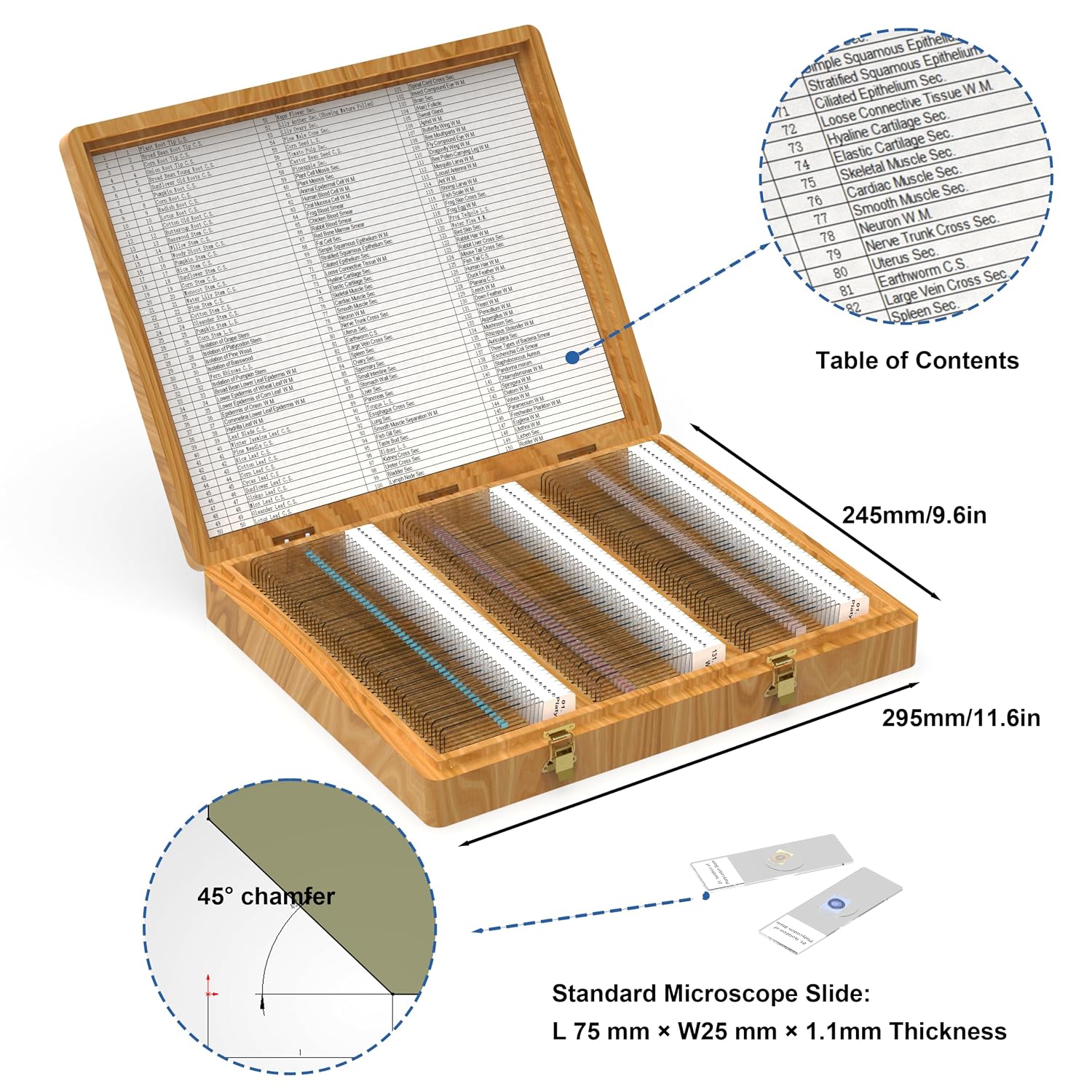 150 Prepared Microscope Slides with Wooden Case and Study Guide | Plant, insect and animal specimens, polished glass