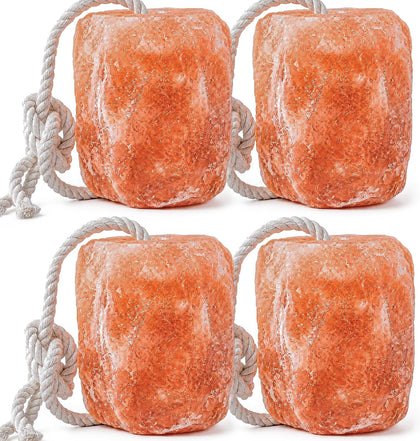 Himalayan Salt Lick 2lb Block on Rope for Horses, Cattle, Deer, Goats, and Livestock – Pack of 4 Blocks