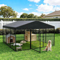 Dog Kennel Outdoor 10 x10 x6 FT, Dog Cage Outdoor for Medium/Large Dogs with Waterproof Roof Double Secure Locks