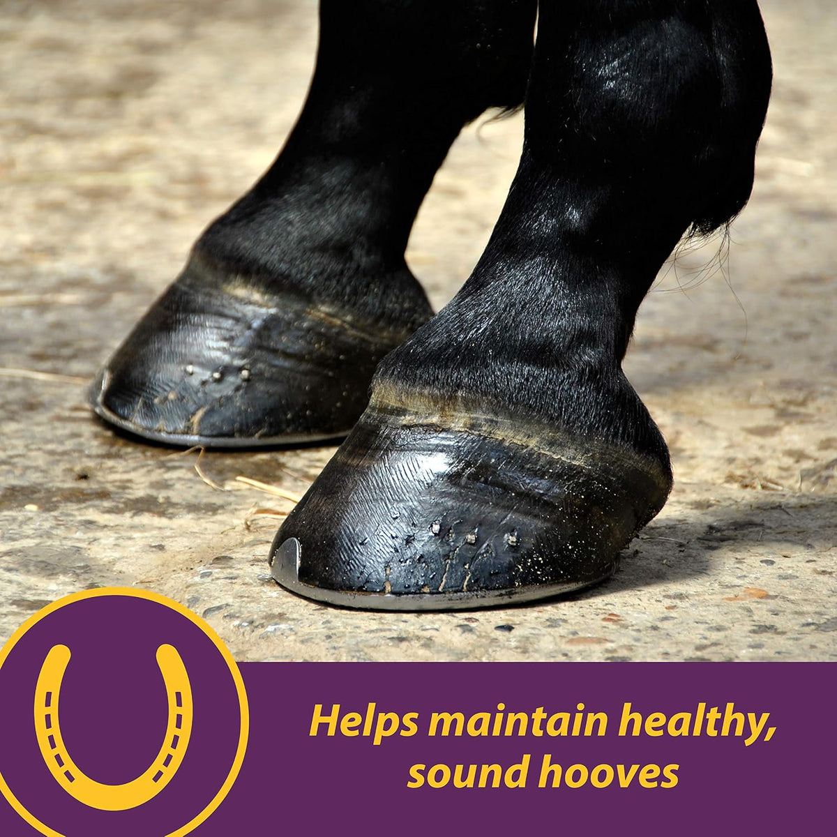 Vita Biotin Crumbles Horse Hoof Supplement, 3 lbs