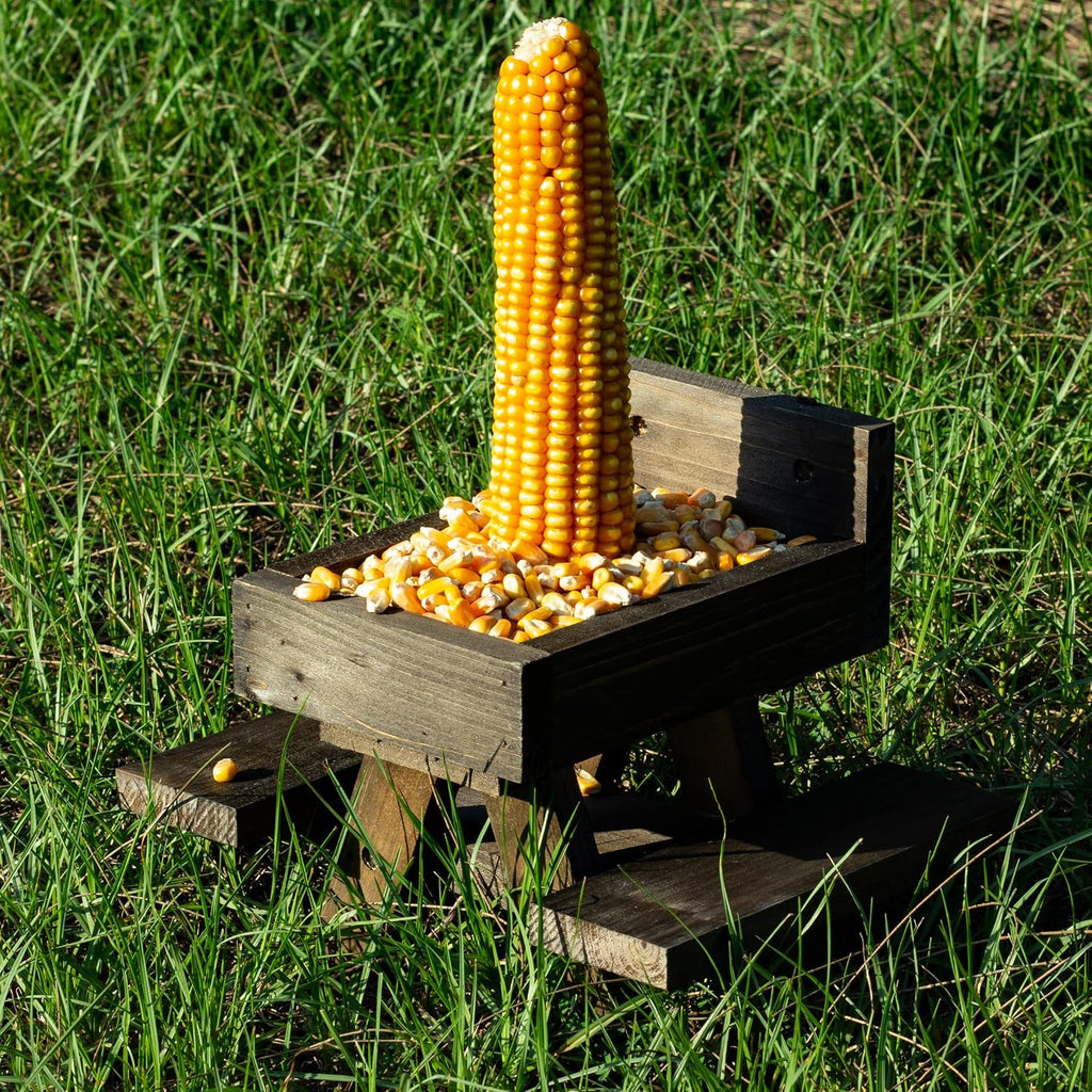 Squirrel Feeder for Outside Yard Games Funny Peanuts in Shell for Picnic Table House Garden Decor Chipmunk Bench Corn