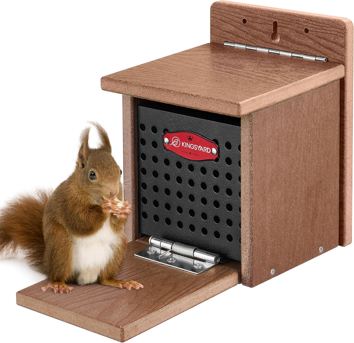 Squirrel Feeder Box for Outside, Recycled Plastic Squirrel Feeder with Removable Metal Front Panel & Perch, Easy to