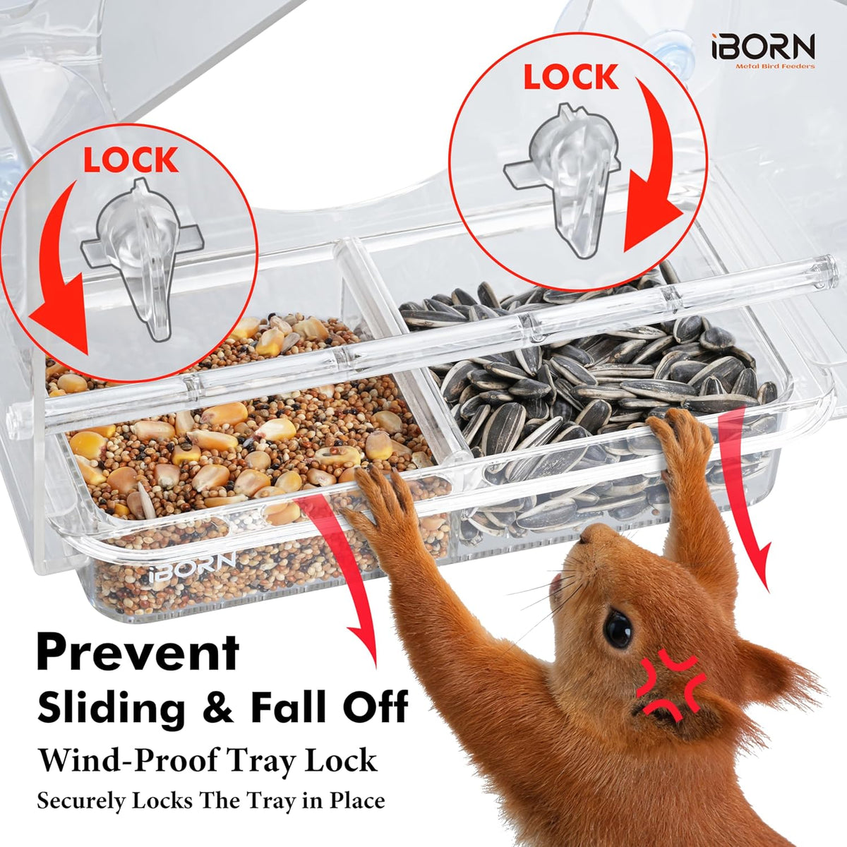 Large Window Bird Feeder w/Wind-Proof Tray Lock, Chew-Resistant PC, 1.2LB