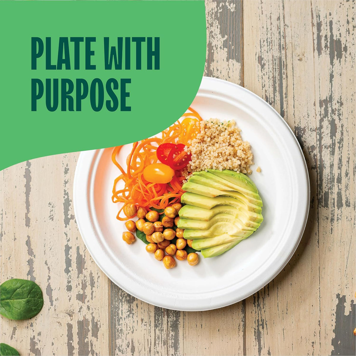 100% Compostable Paper Plates, Heavy Duty Disposable Plates [125-Pack] 9 Inch Plates - Eco-Friendly, Biodegradable