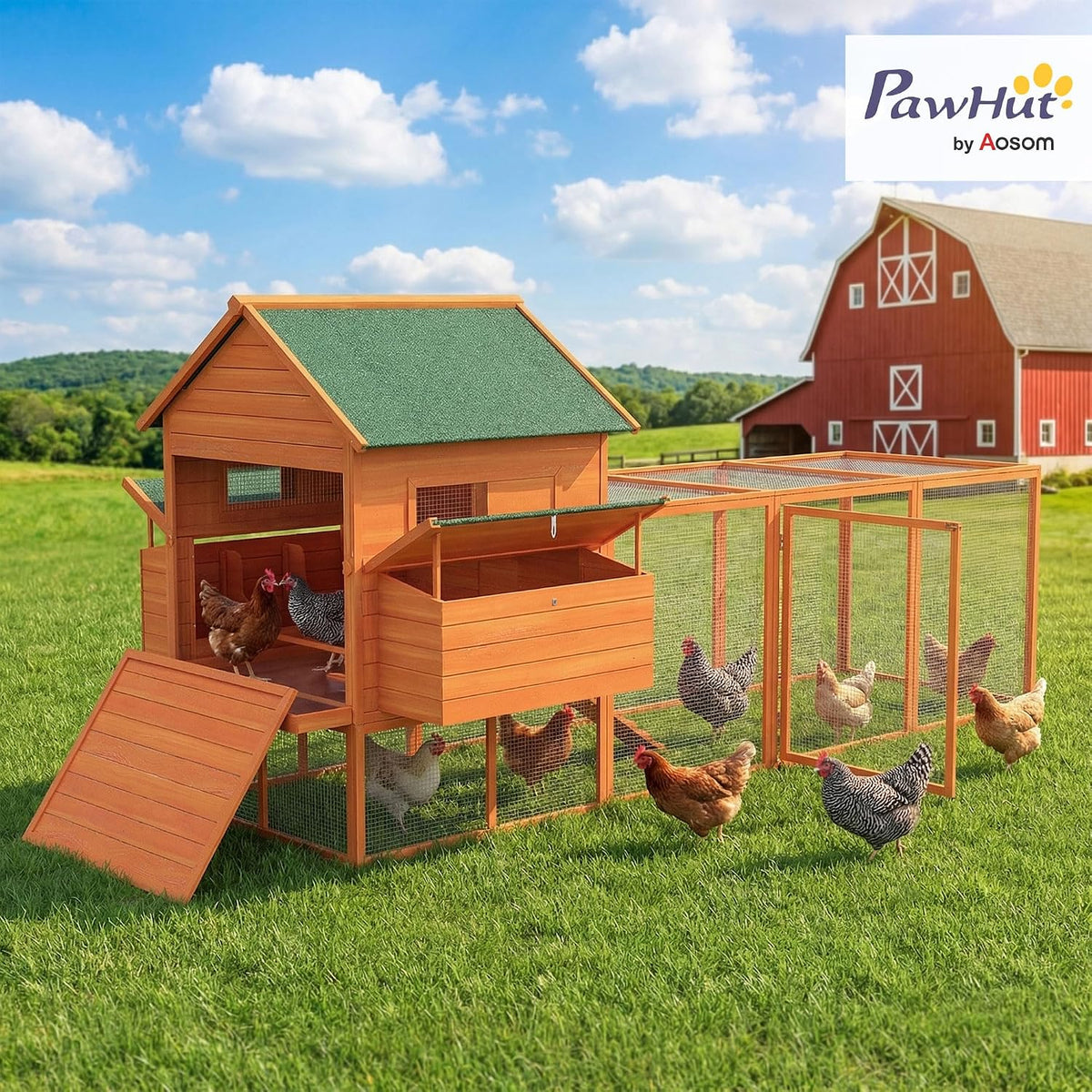 137" Chicken Coop with Extra Large Run, for 4-6 Chickens, Orange
