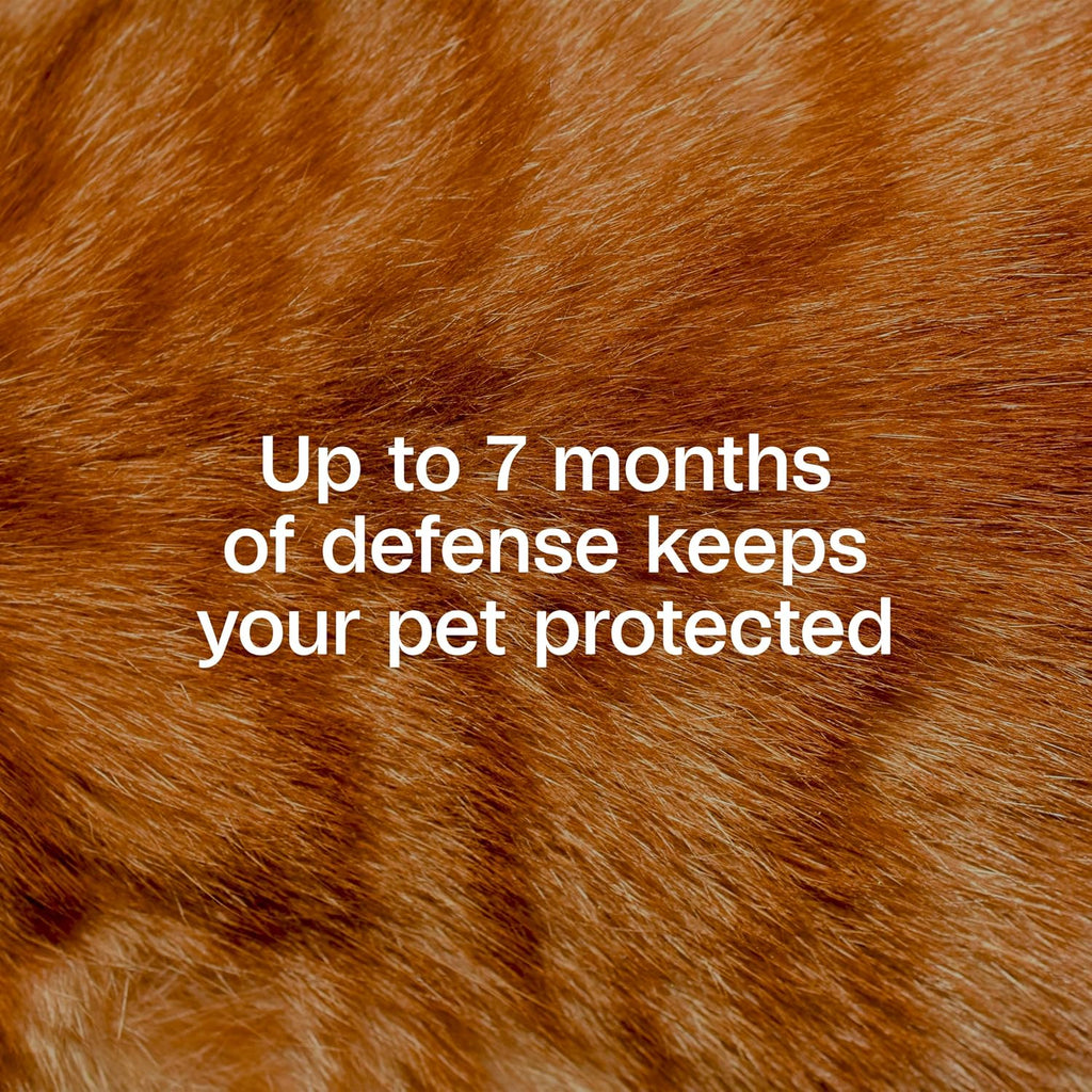 Plus Flea & Tick Collar for Cats, Adjustable, 1 Count