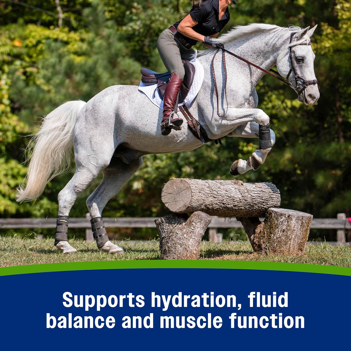 Apple Elite Horse Electrolytes Powder Supplement, 160 Day Supply