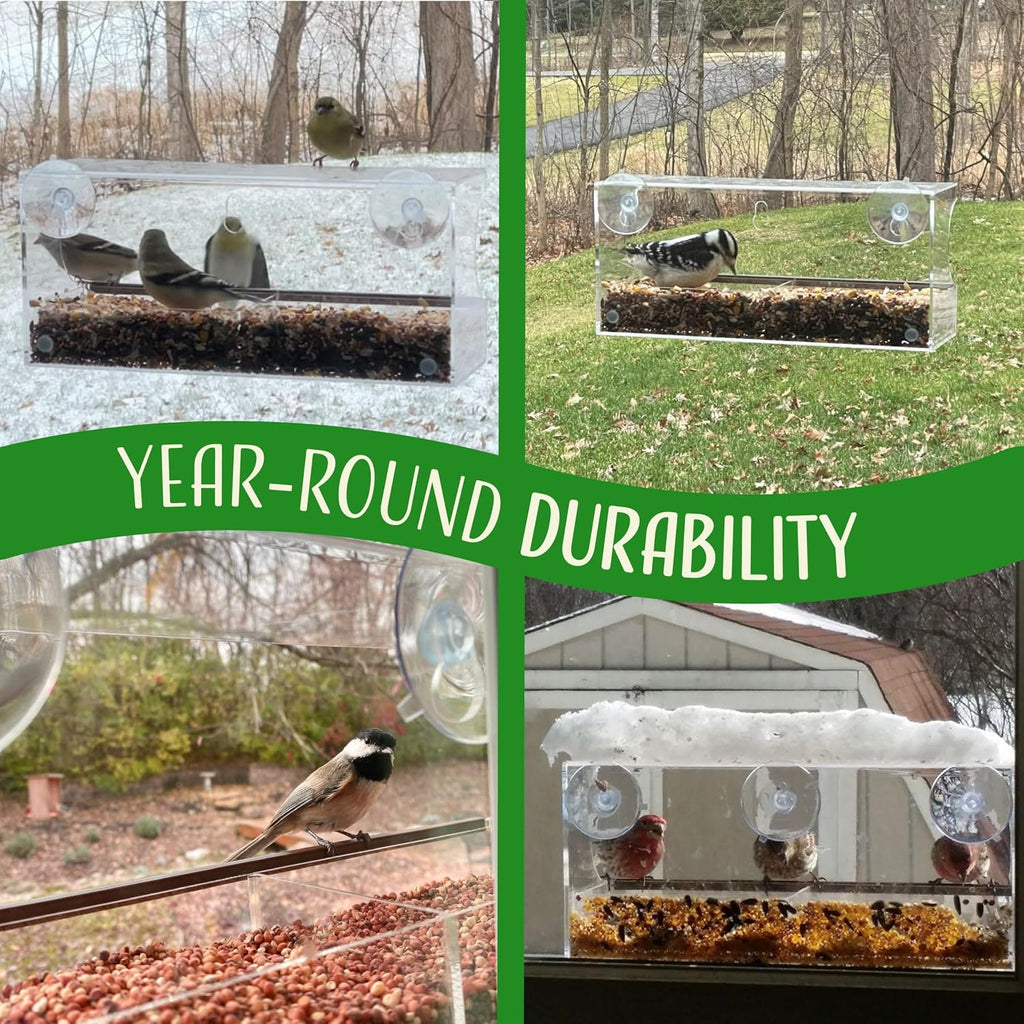 Window Bird Feeder by Nature's Hangout - No Assembly, Strong Suction Cups