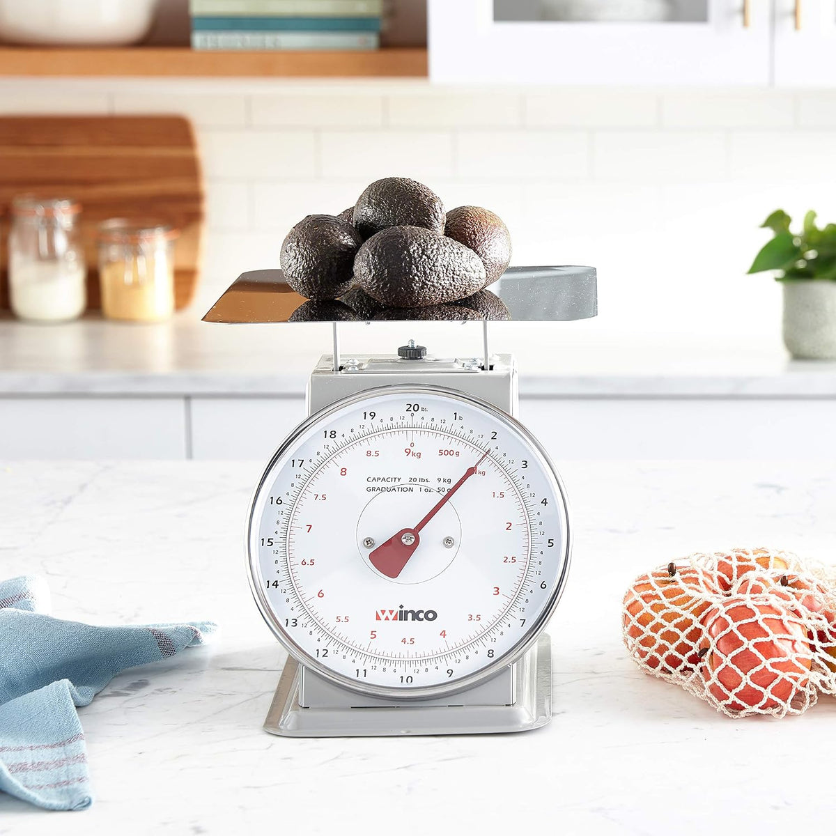 8" Clear Analog Receiving Stainless Steel Scale