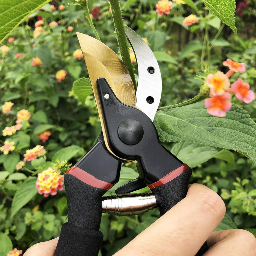 8" Professional Premium Titanium Bypass Pruning Shears (GPPS-1003), Hand Pruners, Garden Clippers, Bonsai Cutters