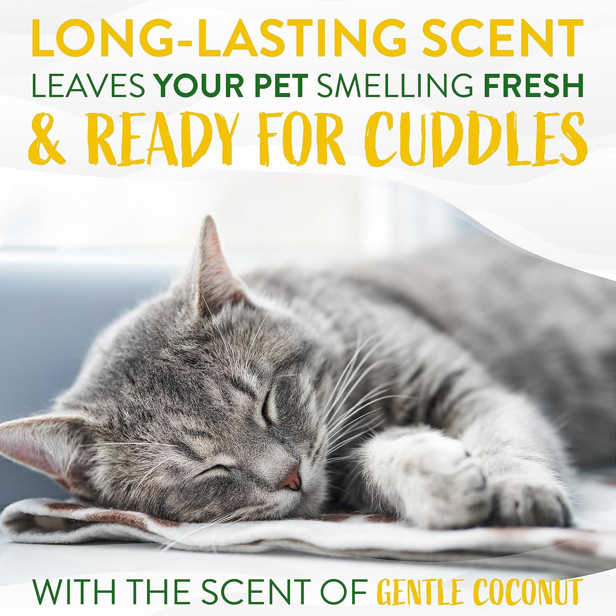 Gentle Kitten & Cat Shampoo, 12oz