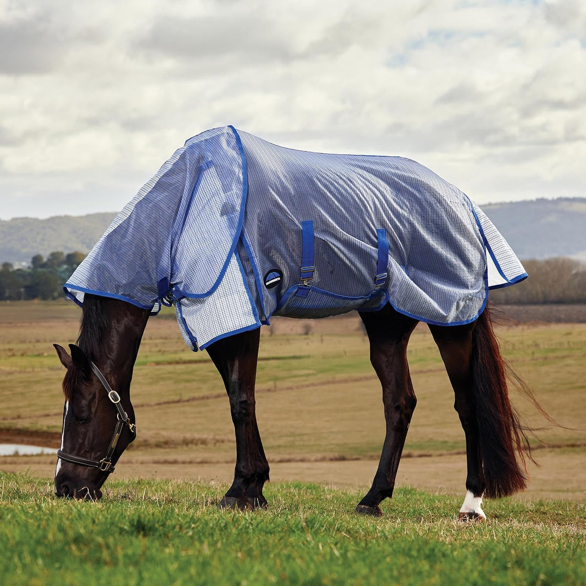 ComFiTec Ripshield Fly Sheet Detach-A-Neck, White/Cobalt, 78"