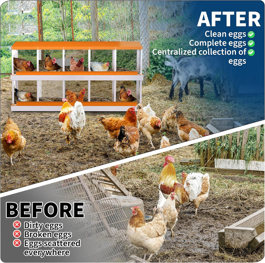 Chicken Nesting Boxes, Galvanized Steel Roll-Away Laying Boxes for Hens