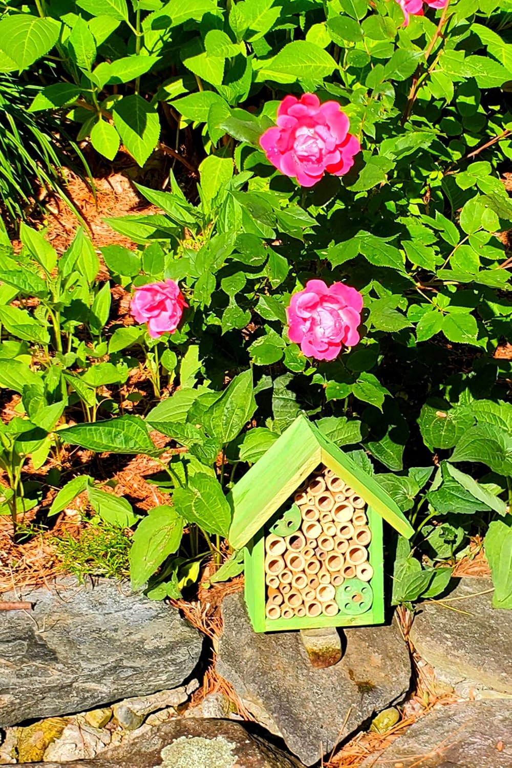 Mason Bee Houses and Supplies : Bamboo Tube Bee Hotel for Solitary Bees - Attract More Gentle Pollinating Bees to