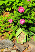 Mason Bee Houses and Supplies : Bamboo Tube Bee Hotel for Solitary Bees - Attract More Gentle Pollinating Bees to