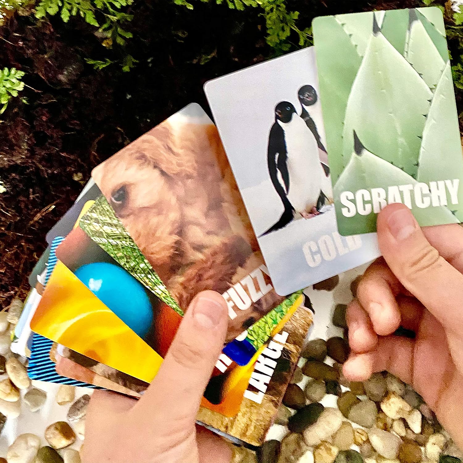 Find and Seek Scavenger Hunt Card Game, Indoor Outdoor Activities for Kids Toddler & Family, Beach Camping Travel Car