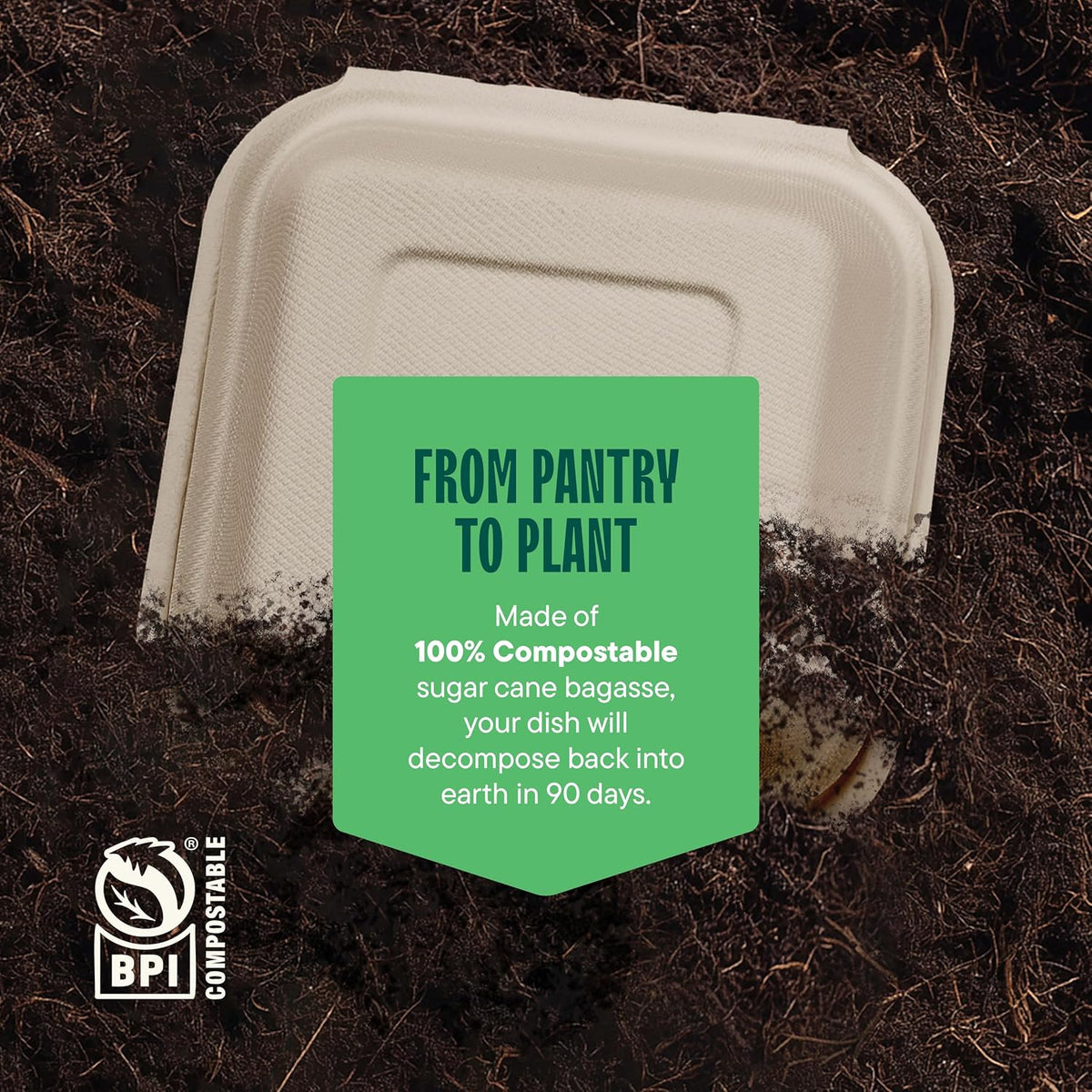 100% Compostable Clamshell Take Out Food Containers [6x6" 50-Pack] Heavy-Duty Quality to go Containers, Natural