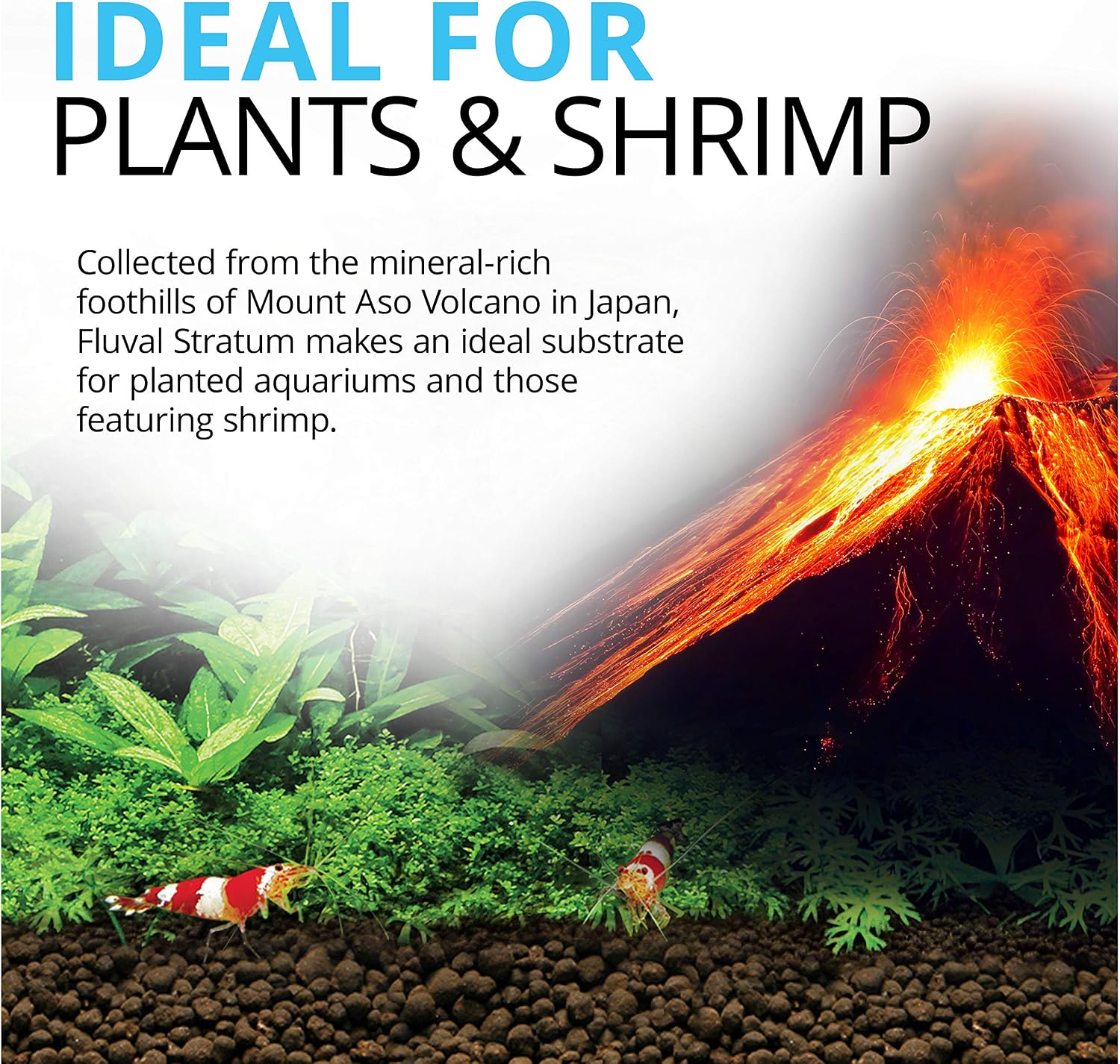 12694 Plant and Shrimp Stratum for Freshwater Fish Tanks, 8.8 lbs. | Aquarium Substrate for Strong Plant Growth