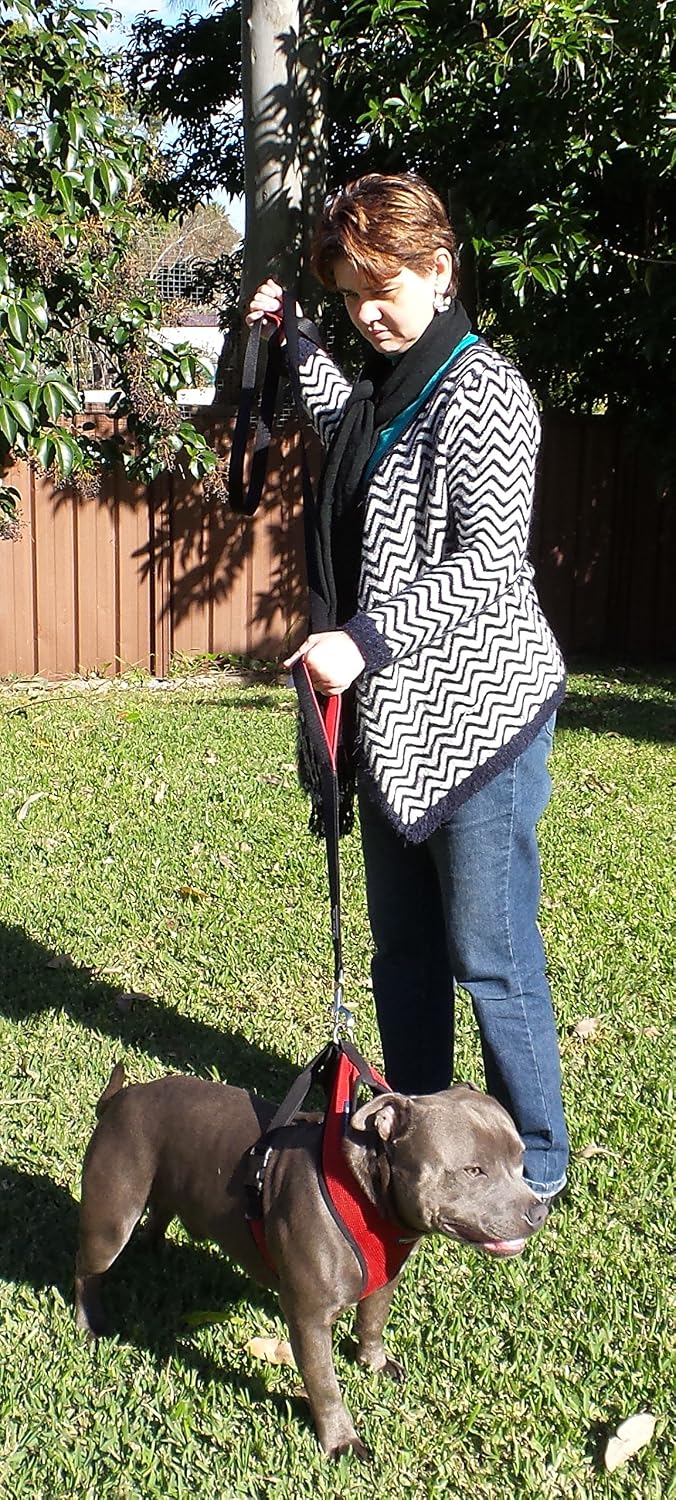 Dog Leash 8ft Long - Black - Traffic Padded Two Handle - Heavy Duty - Double Handles Lead for Control Safety Training