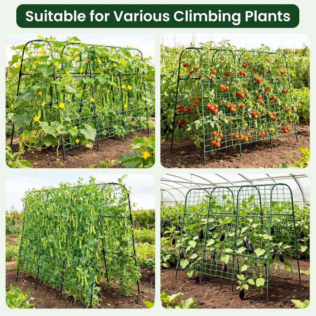 Cucumber Trellis, 50x48 inch Garden Arch Trellis for Climbing Plants Outdoor, Rustproof Metal Plant Support Vegetable
