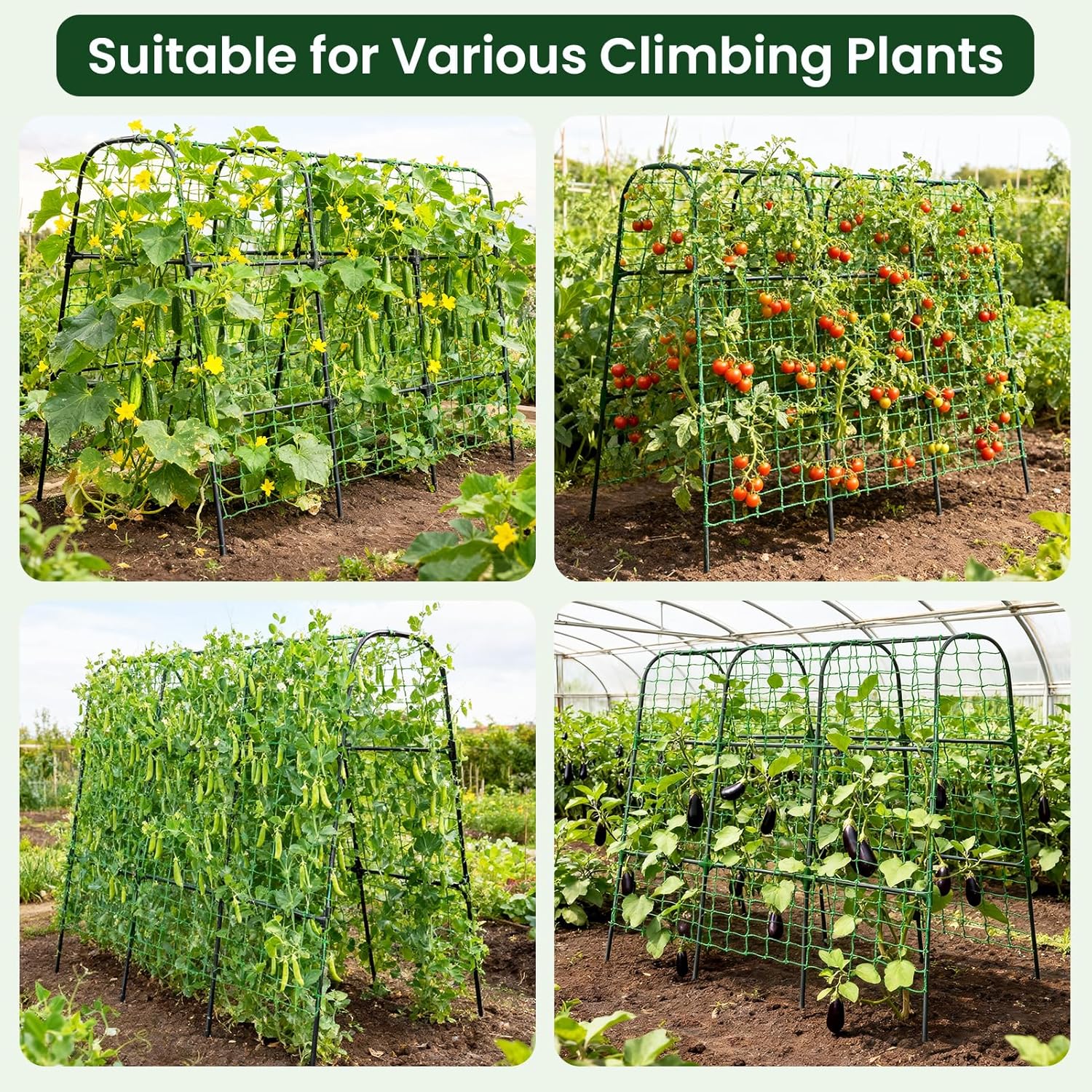 Cucumber Trellis, 50x48 inch Garden Arch Trellis for Climbing Plants Outdoor, Rustproof Metal Plant Support Vegetable
