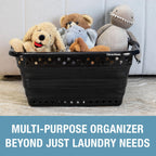 Collapsible Plastic Laundry Basket, 39L 1 Pack, 45 lb