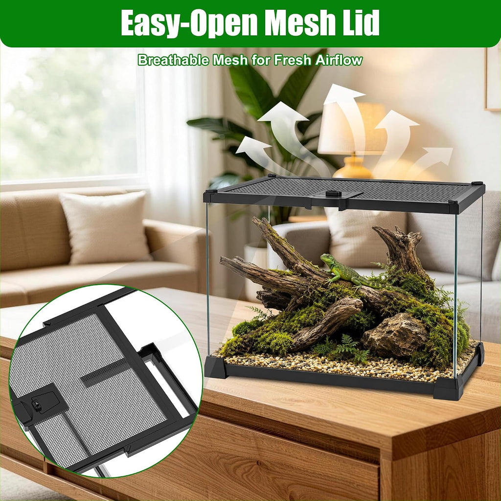 Mini Glass Reptile Enclosure Terrarium 8"x8"x6" | Top-Opening Mesh Lid with Feeding Hole, Fully Assembled Tank for
