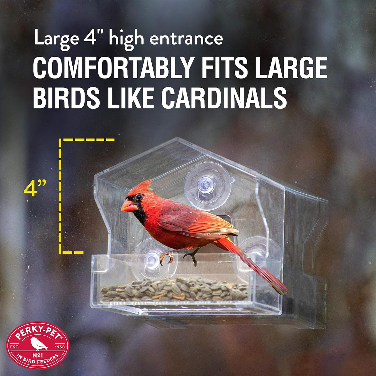 Clear Outdoor Window Bird Feeder with Strong Suction Cups – 1/2 Lb Seed Capacity - Perky Pet 345 - Entertaining Bird