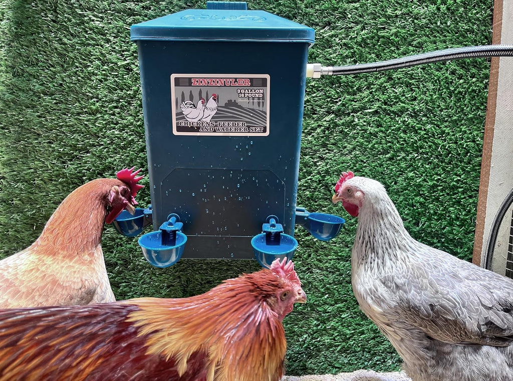 Chicken Waterer with Float Controlled Automatic Set, Chicken Coop Accessories - No Manual Water refilling Needed, 4