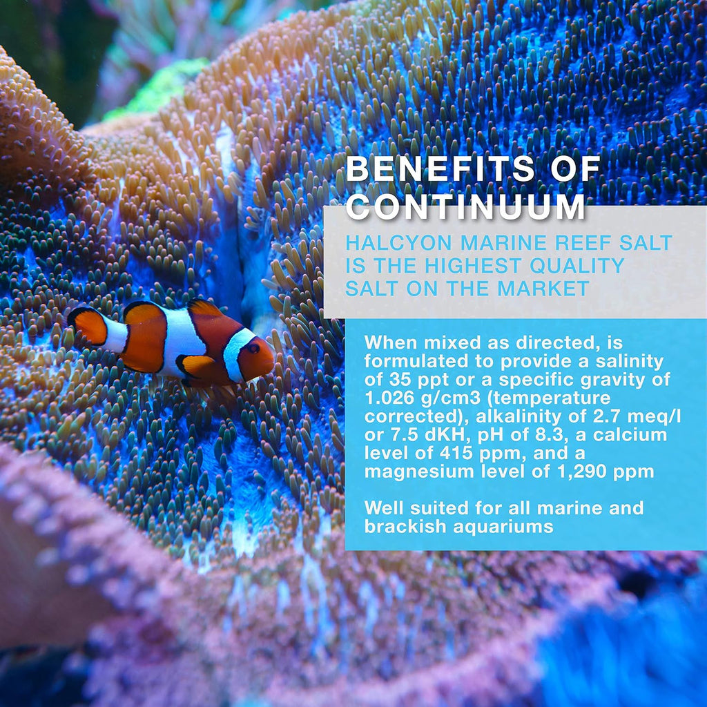 Halcyon, Marine Reef Aquarium Salt Mix, 150 Gallons Box