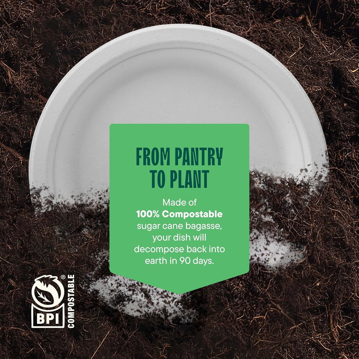 100% Compostable Paper Plates, Heavy Duty Disposable Plates [125-Pack] 9 Inch Plates - Eco-Friendly, Biodegradable