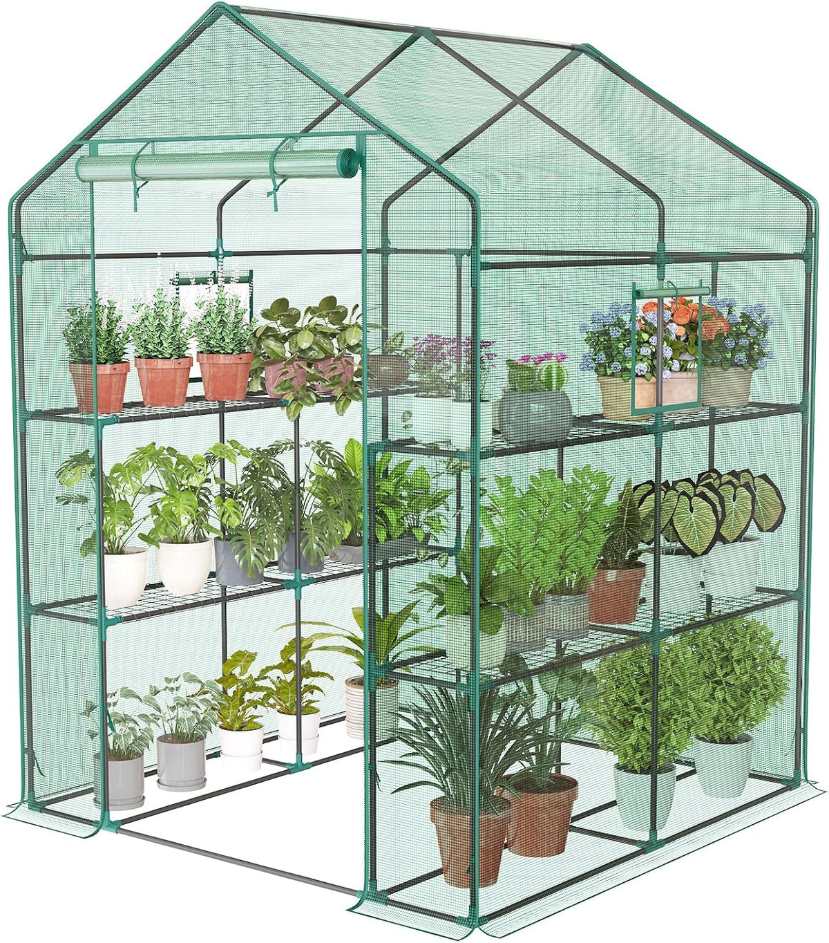 56"x56"x77" Outdoor Greenhouse, with 2 Tier 8 Plant Shelves | Walk-In Greenhouse with Durable PVC Cover, Portable