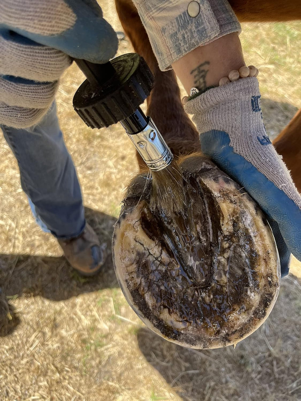 Hoof Oil - All Natural Hoof Conditioner for Horses with Hoof Oil Brush Applicator - Strengthens, Moisturizes and
