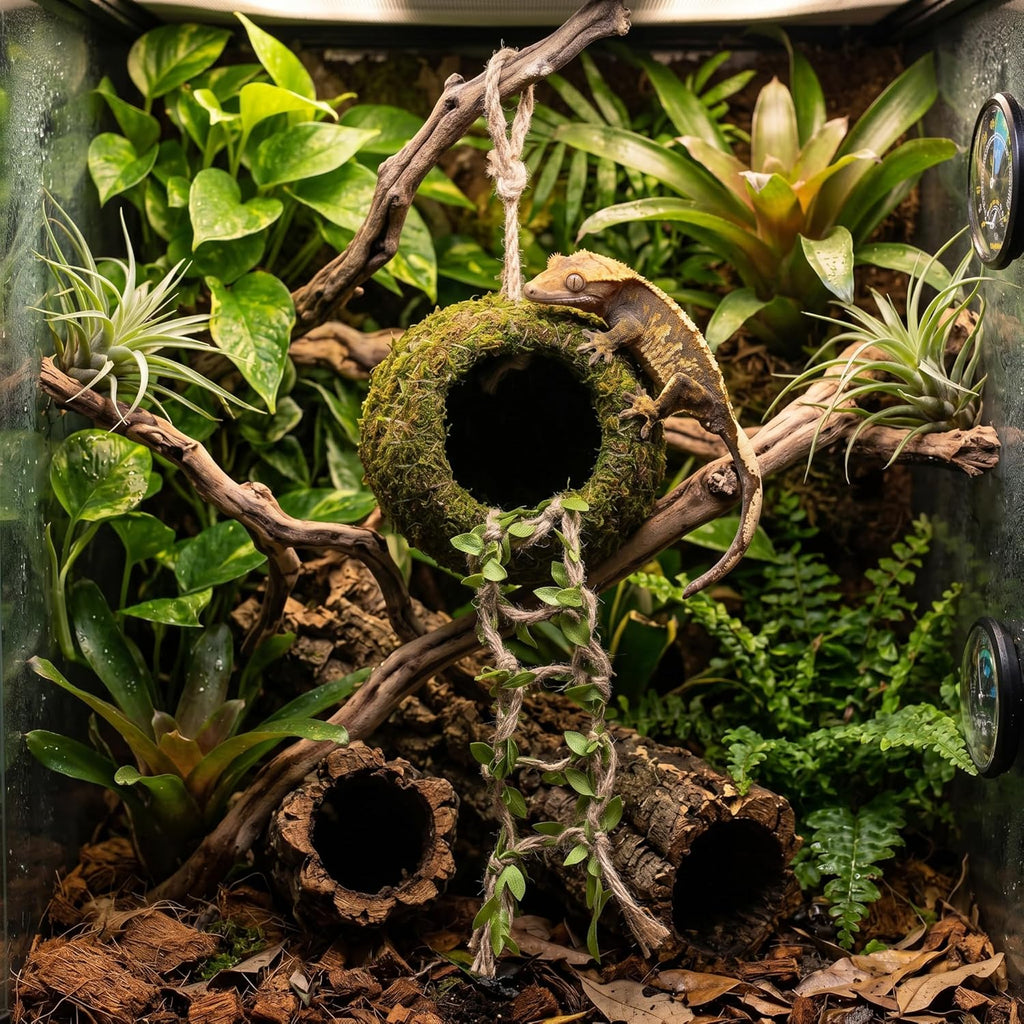 Reptile Hide with Hanging Climbing Ladder – Handmade Crested Gecko Tank Accessories, Hide for Crested Gecko, Hermit