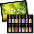 Fragrance Oil Favorite Set | Candle Scents for Candle Making, Freshie Scents, Soap Making Supplies, Diffuser Oil Scents