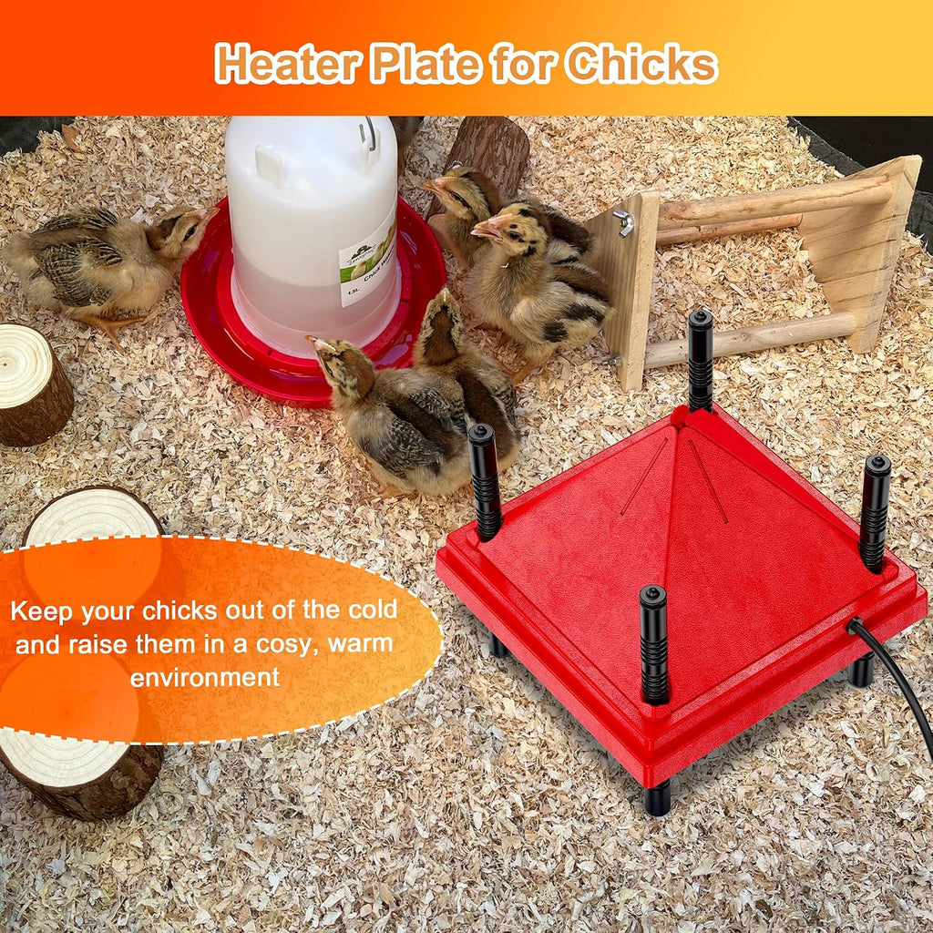 Chick Brooder Heater with Anti-Roost Cone & Constant Temp Red 12" x 12"