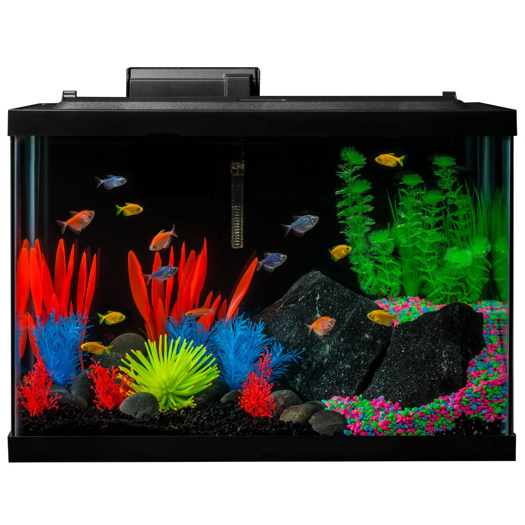 20 Gallon Complete Fish Tank Kit